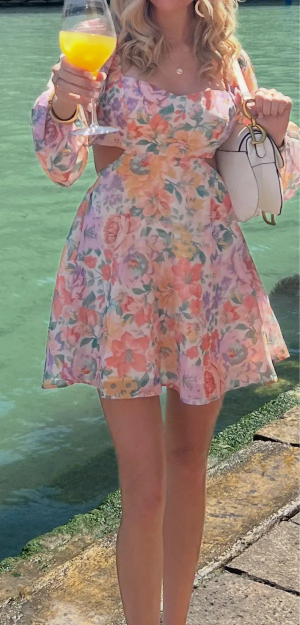 Showpo Dress - Image 6