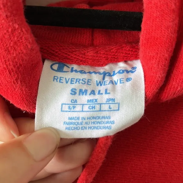 Champion Hoodie - Image 5