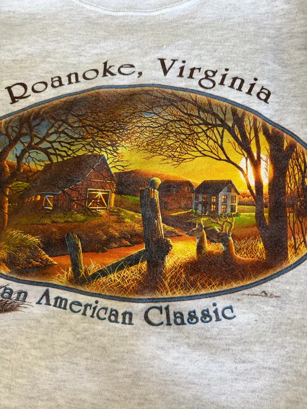 Vintage Roanoke Virginia crew neck Gray Size XL - Image 2