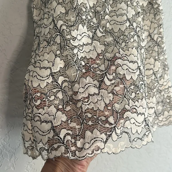 Zara Lace Sleeveless Top Sheer Peter Pan Collar Victorian Romantic Modest - Image 7