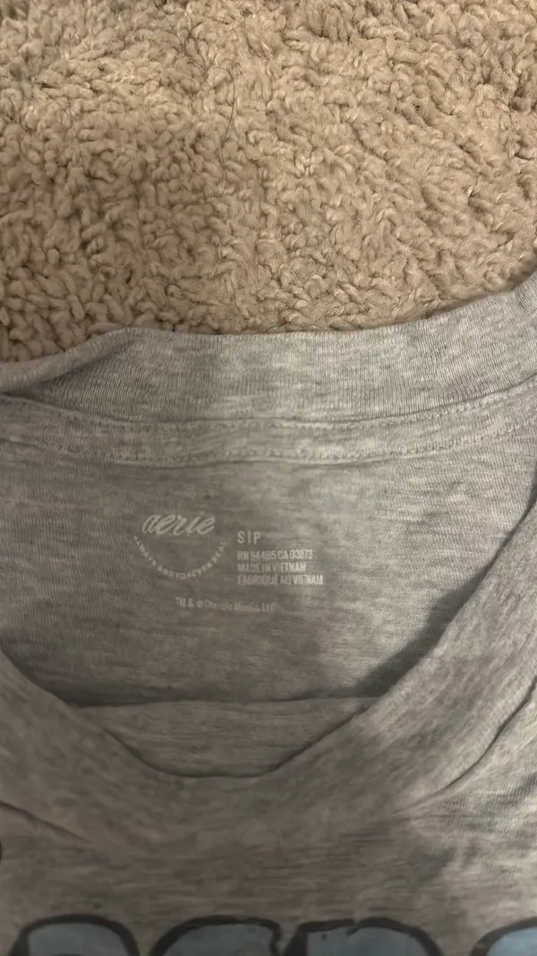 Aerie Boyfriend Tee - Image 2