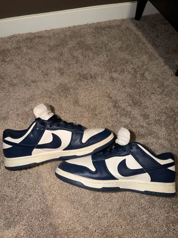 Nike Wmns Dunk Low Next Nature 'Olympic' - Image 4