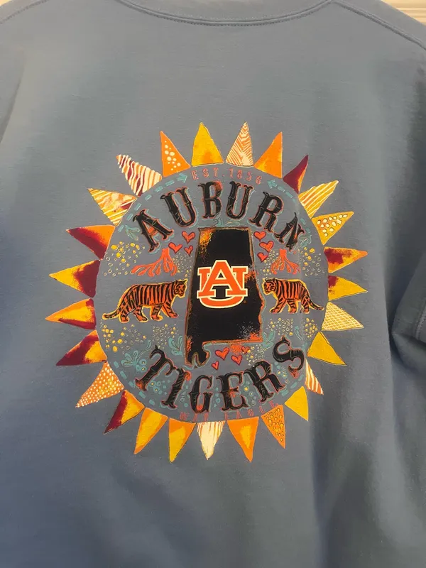 Auburn Crewneck Gildan - Image 2