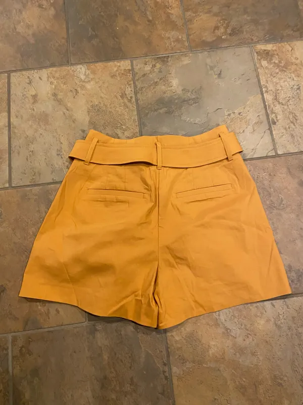 Mustard High-Waisted Pleated Shorts - Image 4