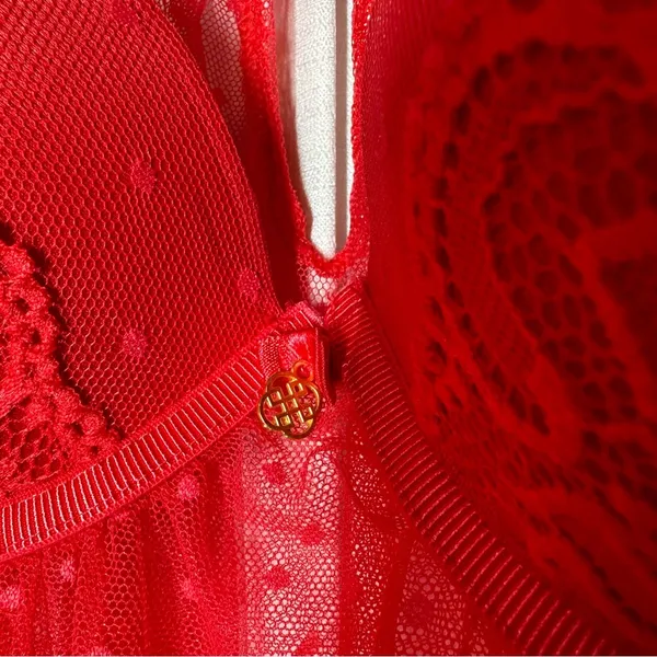 Daisy Negligie Red Sexy Sheer Lace M Babydoll Top Fairy Nightgown Lingerie Y2K - Image 4