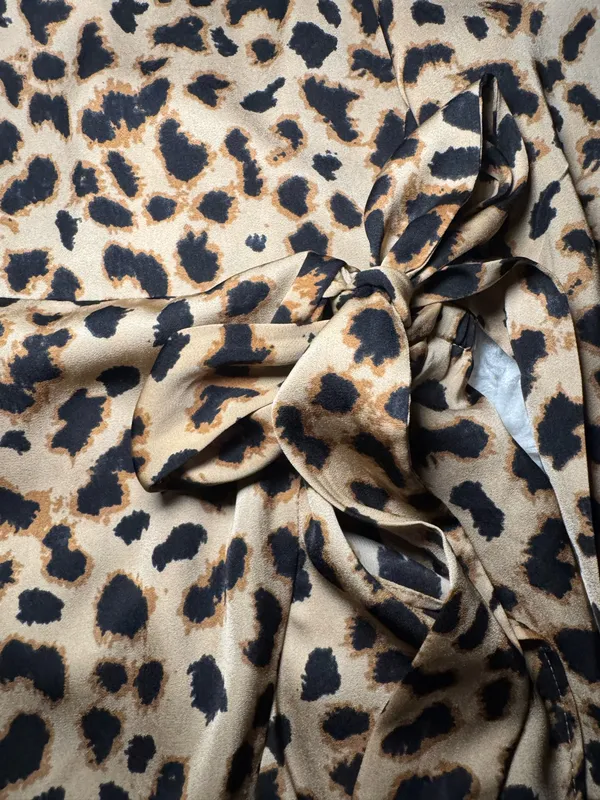 Express Cheetah Dress - Image 3
