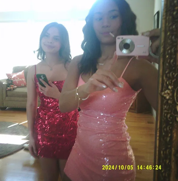 Pink Windsor Dress - Image 2