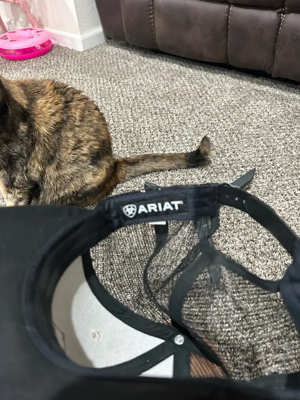 Ariat Hat - Image 4