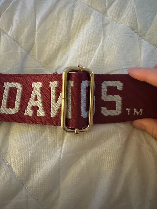Mississippi state purse strap Red - Image 3