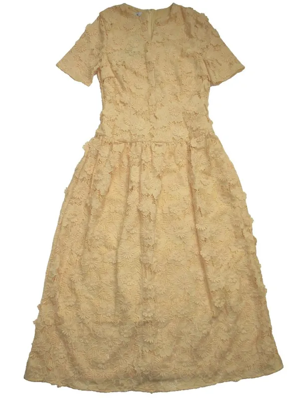NWT Misook Lace Pleated Drop Waist Maxi in Pale Gold Applique Petal Dress XS - Image 3