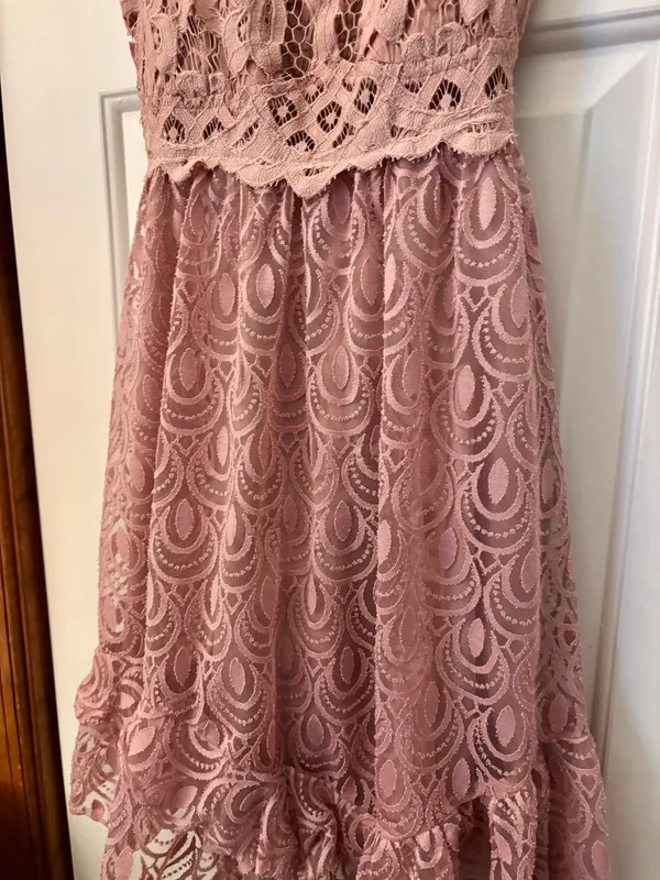 Free People Pink Adelia Lace Dress - Image 4