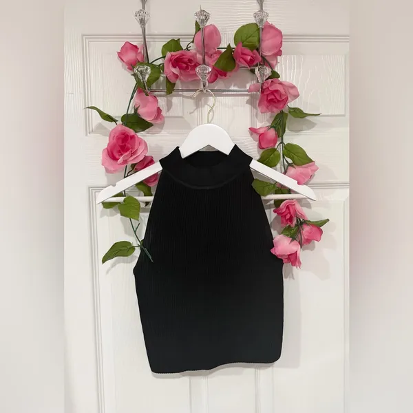 Aritzia Babaton Black Modern Minimalist Halter Sculpt Fit Ribbed Clean Girl Small Top - Image 2