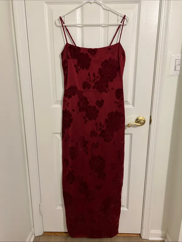 Reformation Frankie Scarlet Slip Maxi Dress Floral Velvet Burnout New Size 10 - Image 4