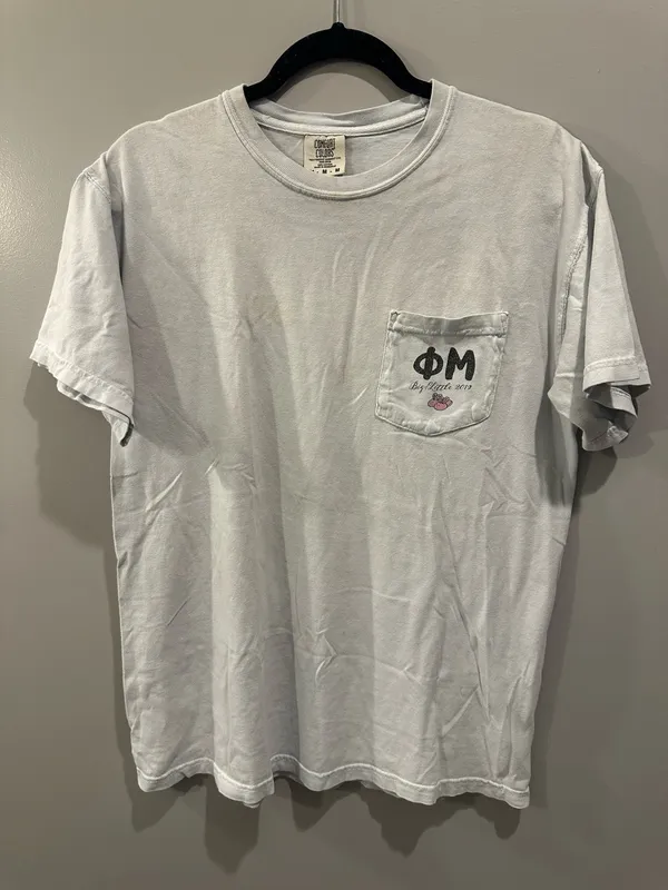 Comfort Colors UNG Phi Mu Big Little Reveal 2019 Tee - Image 2