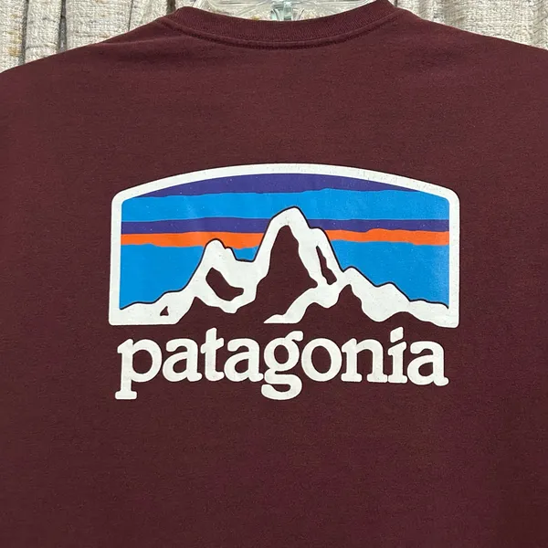 Patagonia Fitz Roy Horizons Responsibili Tee - Image 6