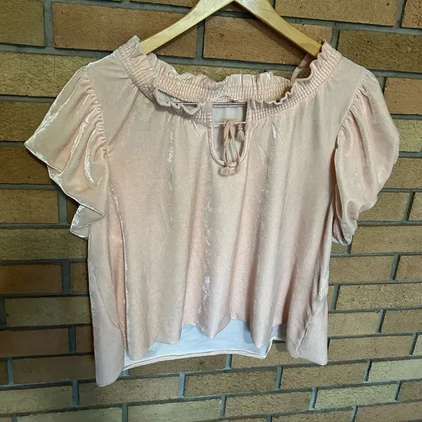 NWOT Free People Terese Top Pink Velvet Tassel Women’s Size Medium - Image 3