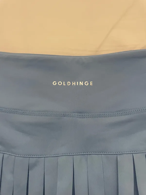 Gold Hinge Skirt - Image 3
