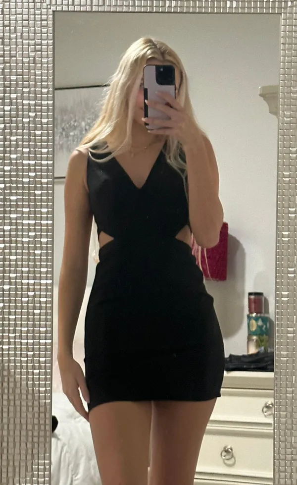 No Big Deal Revolve X Naven Dress - Image 3