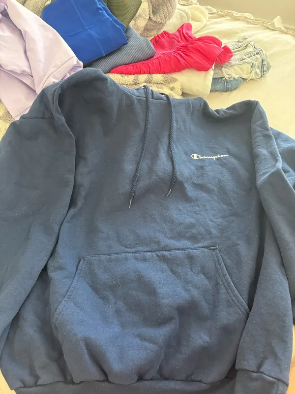 Champion Sweatshirt - Image 4