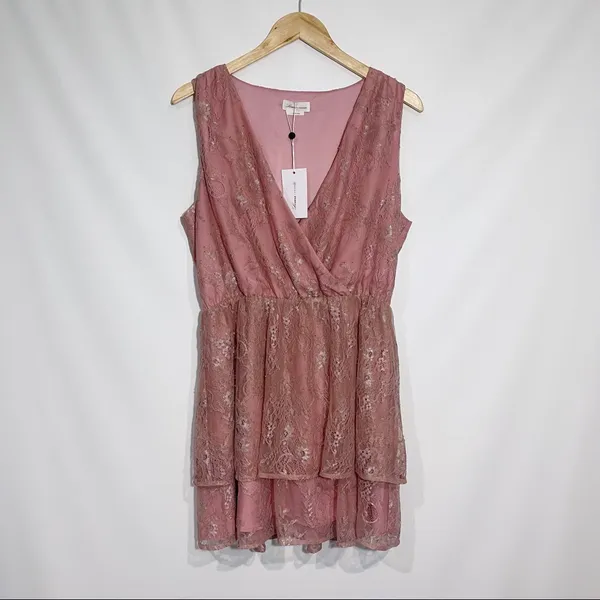 Lovers + Friends Rayna Mini Dress Metallic Rose‎ Large Coquette Romantic - Image 3