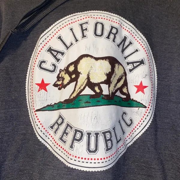 California Republic sweatshirt Gray Size L - Image 2