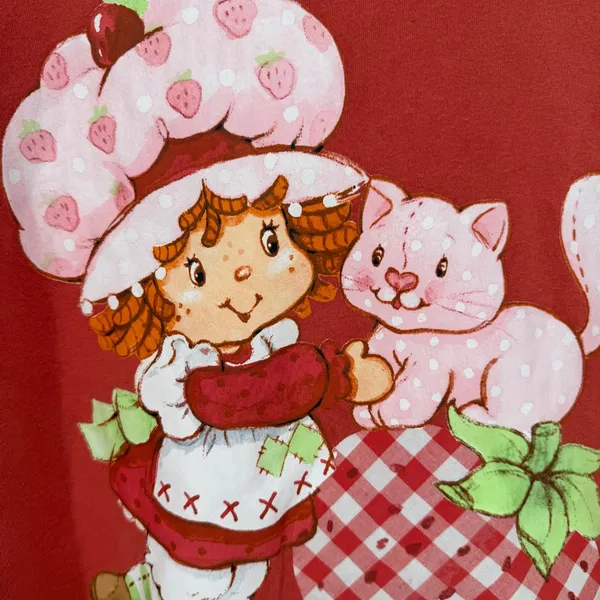 Strawberry Shortcake Hoodie Women XL Red Retro 80s Kidcore Gingham Loungewear - Image 3