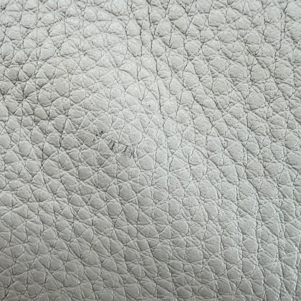 Fossil Cream Pebbled Leather Crossbody Bag Organizer Purse Off White - Image 8