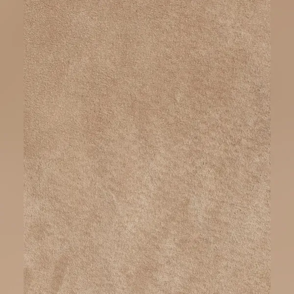 BlankNYC Suede Moto Jacket - Image 4