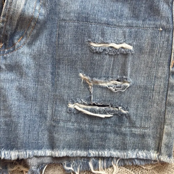 Vervet Flying Monkey Blue High-Waisted Jean Shorts with Frayed Hem - Image 5