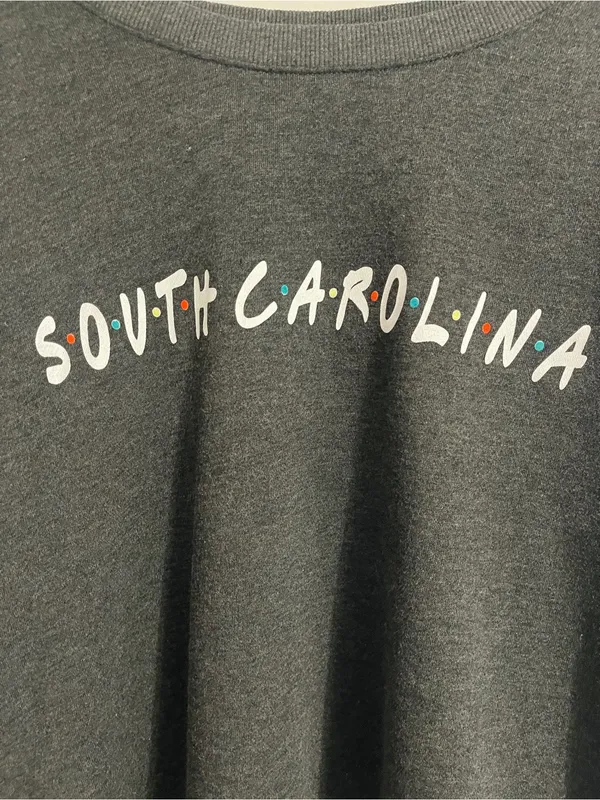 South Carolina State Sweatshirt Friends Themed Women's Size L Gray Soft Novelty - Image 3