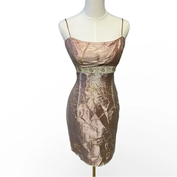 JS Collections Blush Pink Gold‎ Empire Dress Romantic Fairycore Formal Size 14 - Image 2