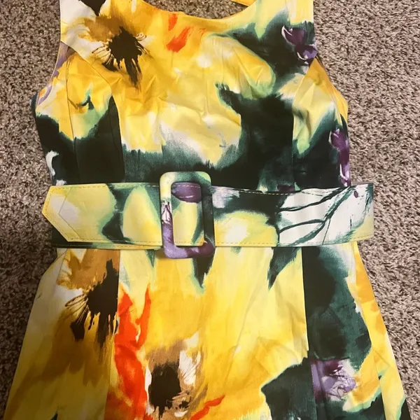 Julian Taylor Floral‎ Watercolor Sleeveless Belted Summer Dress Size 8 - Image 2