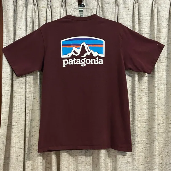 Patagonia Fitz Roy Horizons Responsibili Tee - Image 5