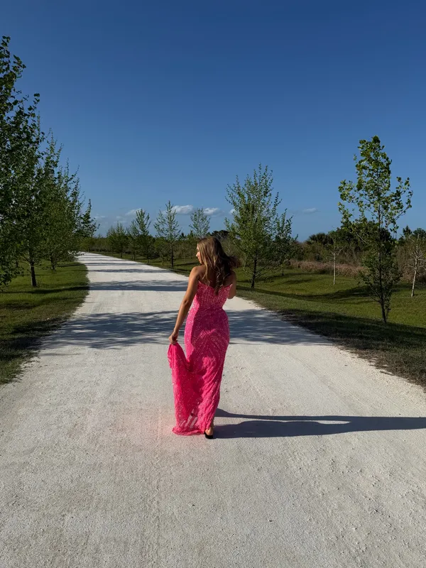 Ashley Lauren Prom Dress Pink 11236 - Image 3