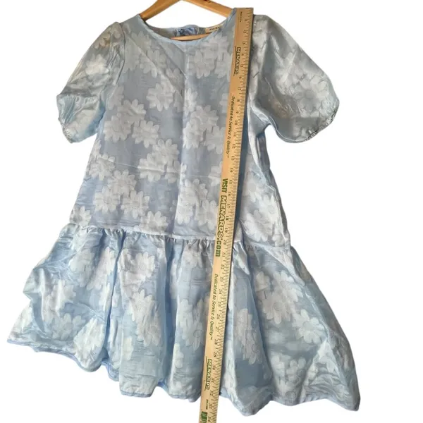 Pink Ripple Womens S Swing Dress Puff Sleeve Drop Waist Blue Floral Garden Party - Image 6