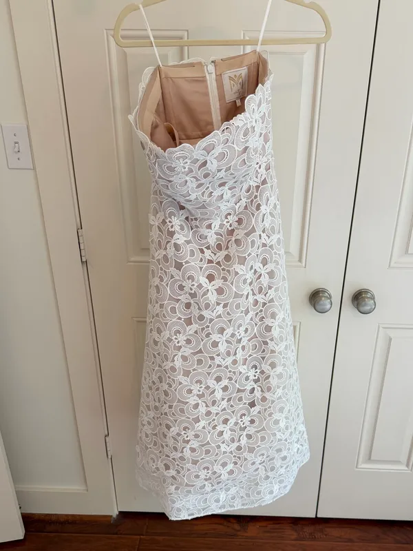 Milly Petunia Lace Gown - Image 6