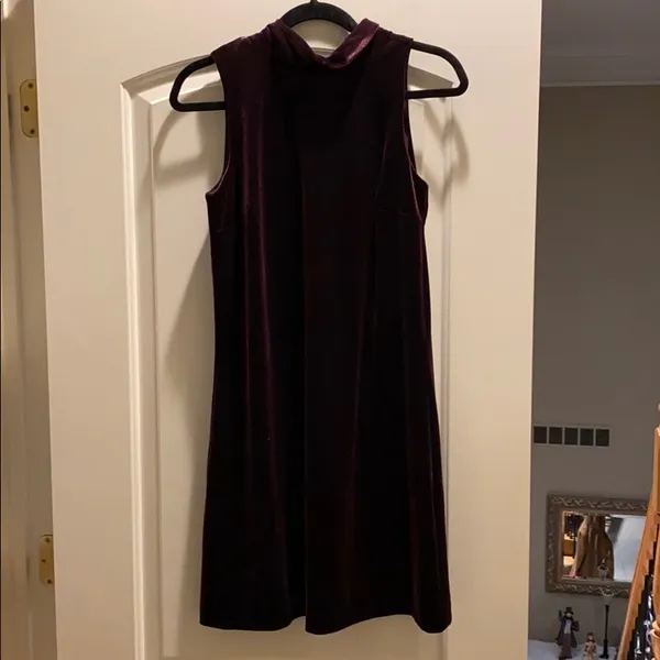 Ann Taylor Plum Velvet Dress - Image 10