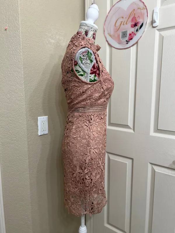 Bardot Paris Lace High Neck Dress Pink Size 4 NWT Cocktail Wedding Guess - Image 3