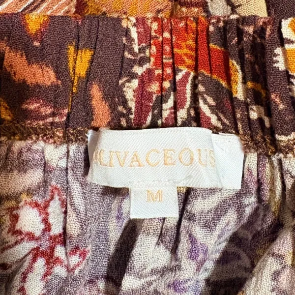 Olivaceous Paisley Tiered Mini Dress Boho Balloon Sleeve Anthropologie Medium‎ - Image 3