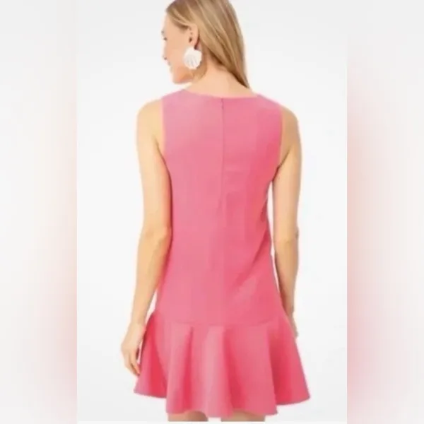 Tuckernuck Gina V-neck drop waist ruffle sleeveless shift dress midi pink M - Image 2