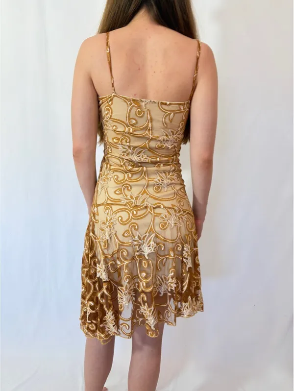Gold Paisley Swirly Mesh Overlay Vintage Square Neck Formal Dress - Image 8