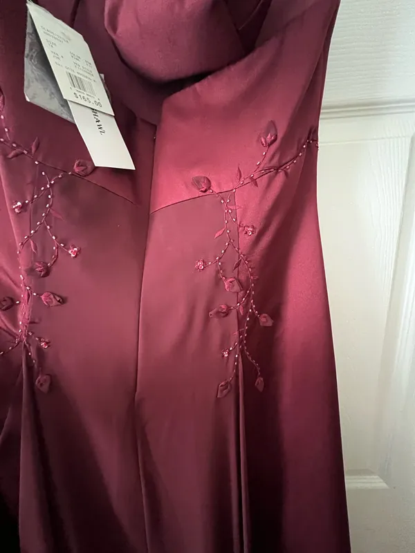 David’s Bridal Burgundy Dress - Image 2