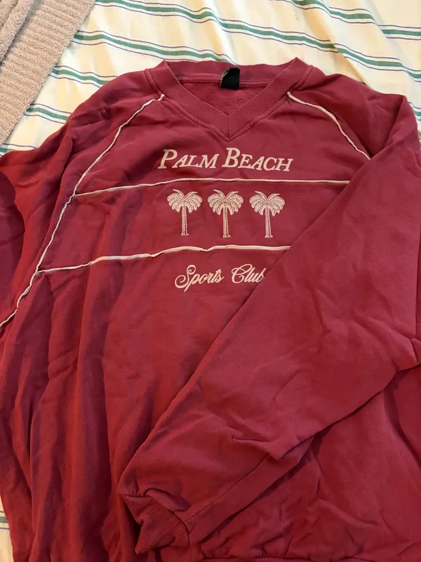 Urban Outfitters Palm Beach Sports Club Embroidered Graphic V-Neck Pullover - Image 2