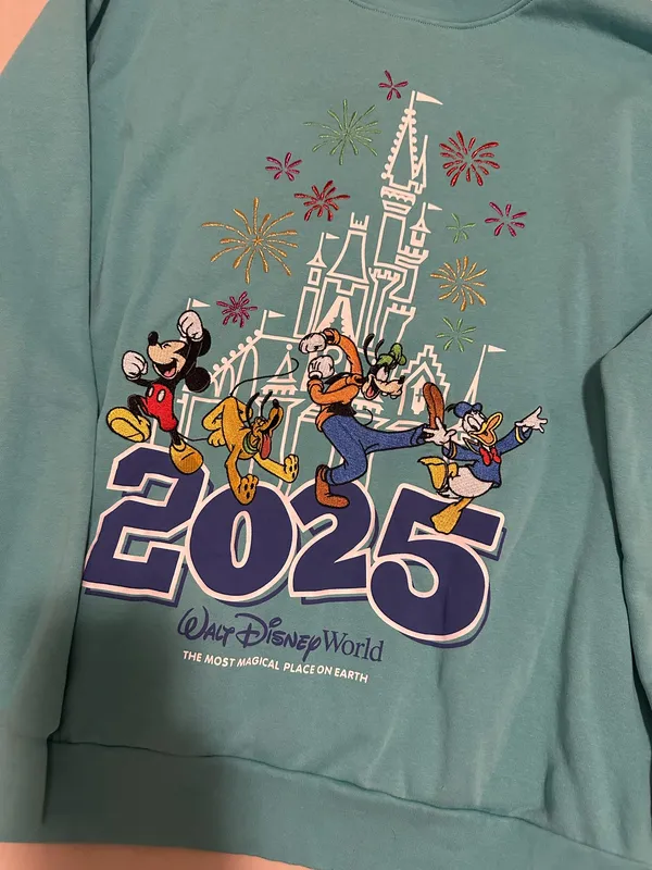 2025 Disney Graphic Sweatshirt - Image 4