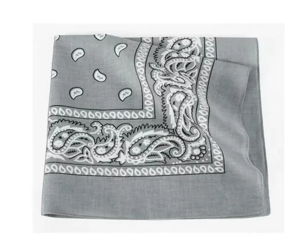 Silver Bandana - Image 4