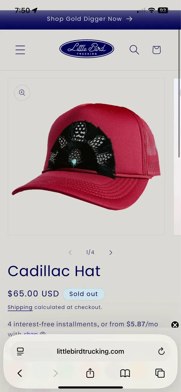 Trucker Hat Aviator Nation - Image 2