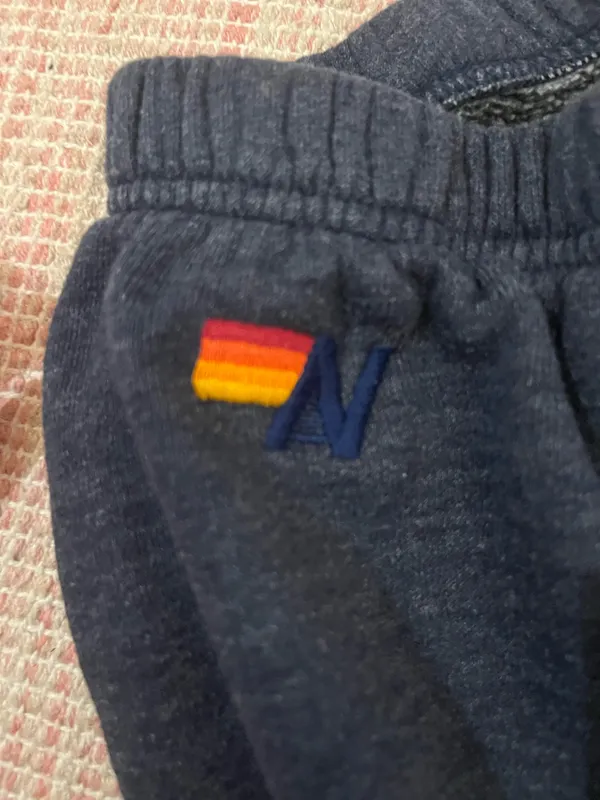 Aviator Nation Sweatpants - Image 3