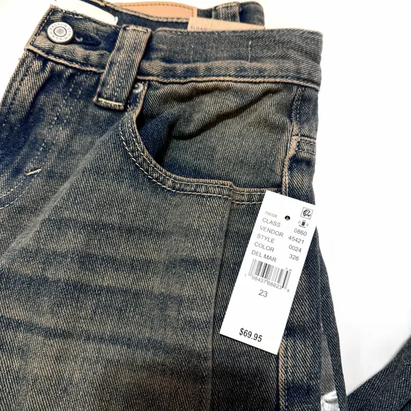 Pacsun Sloane Low Rise Baggy Jeans - Image 3