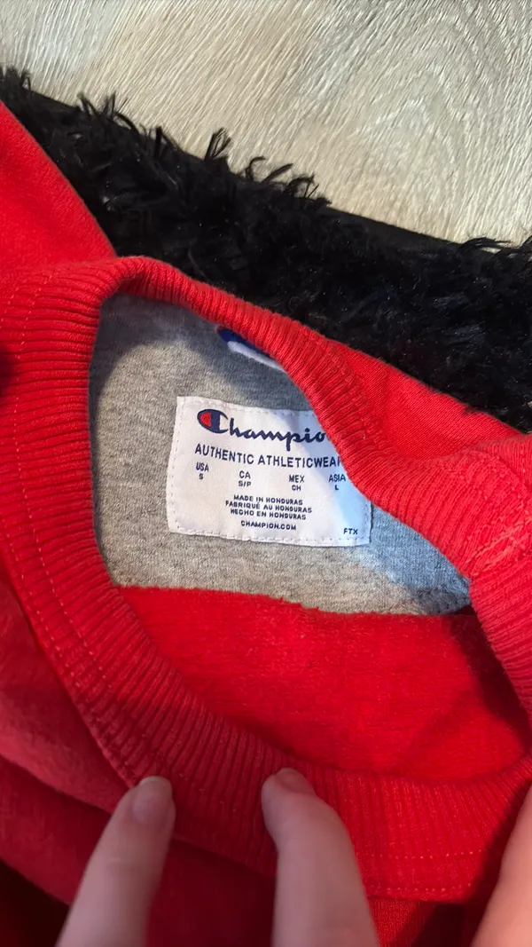 Champion Sweatshirt Crewneck - Image 2