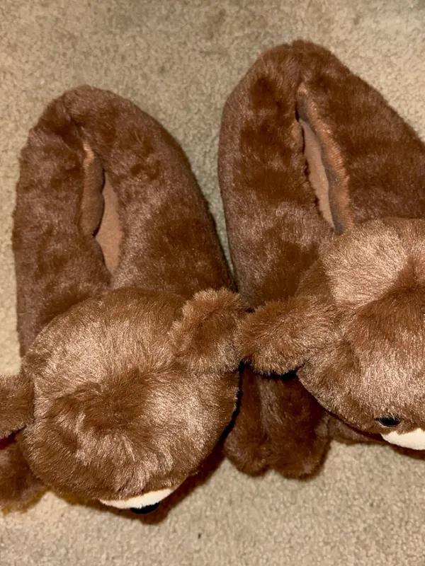 Amazon Brown Plush Bear Soft Slippers - Image 3